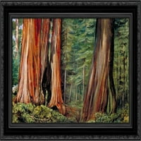 Марипоса Гроув от големи дървета, Калифорнийско черно богато украсено платно от платно от север, Мариан