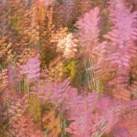 Франция-Гвъррин от впечатление за цветя в градината на Моне от галерия Jaynes