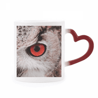 Pcture животински сова, чувствителна към топлина чаша червен цвят смяна на каменни изделия чаша