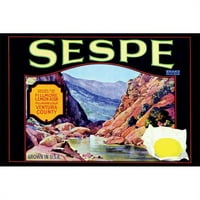 Купете уголемяване 0-587-21974-2p Sespe Марка лимони-размер на хартия P20x30